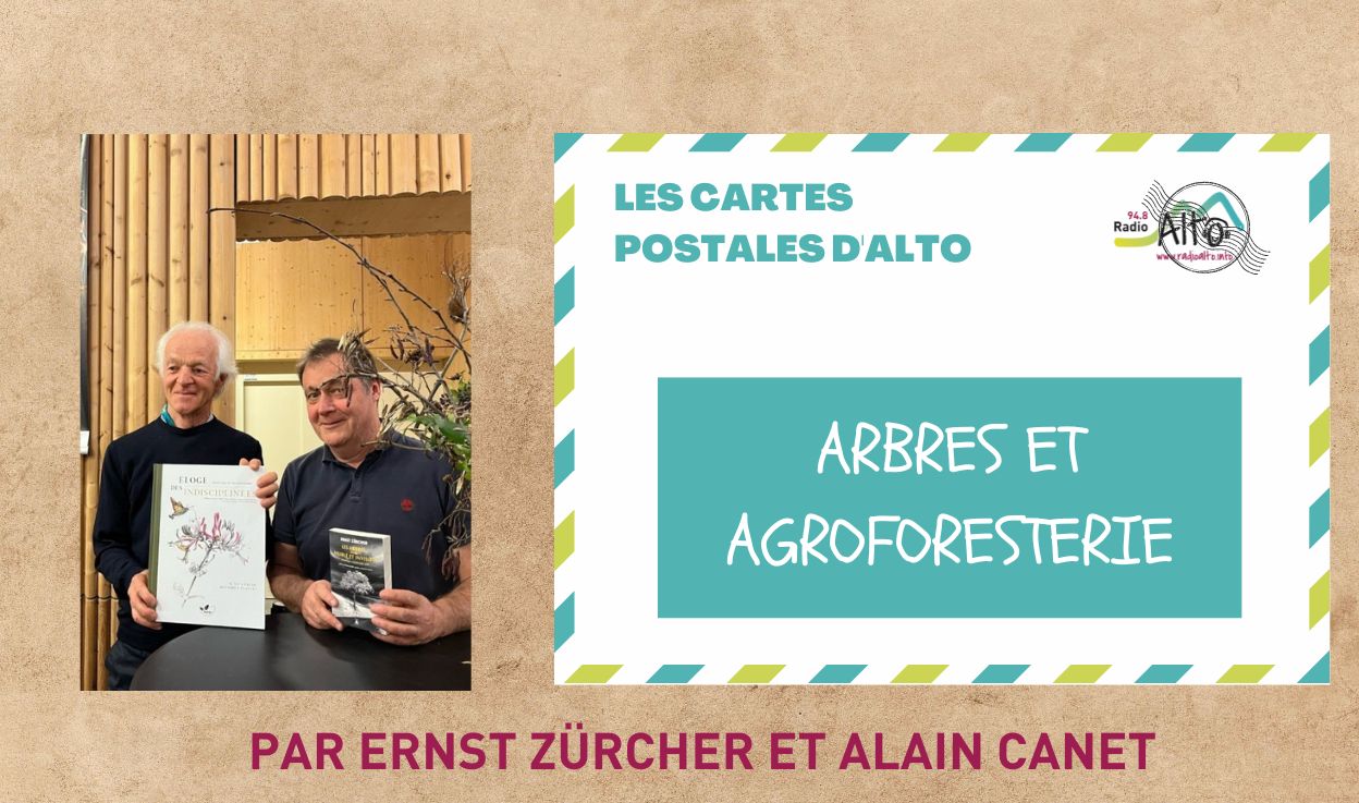 Les cartes postales d&rsquo;Alto – conférence association cyclamen