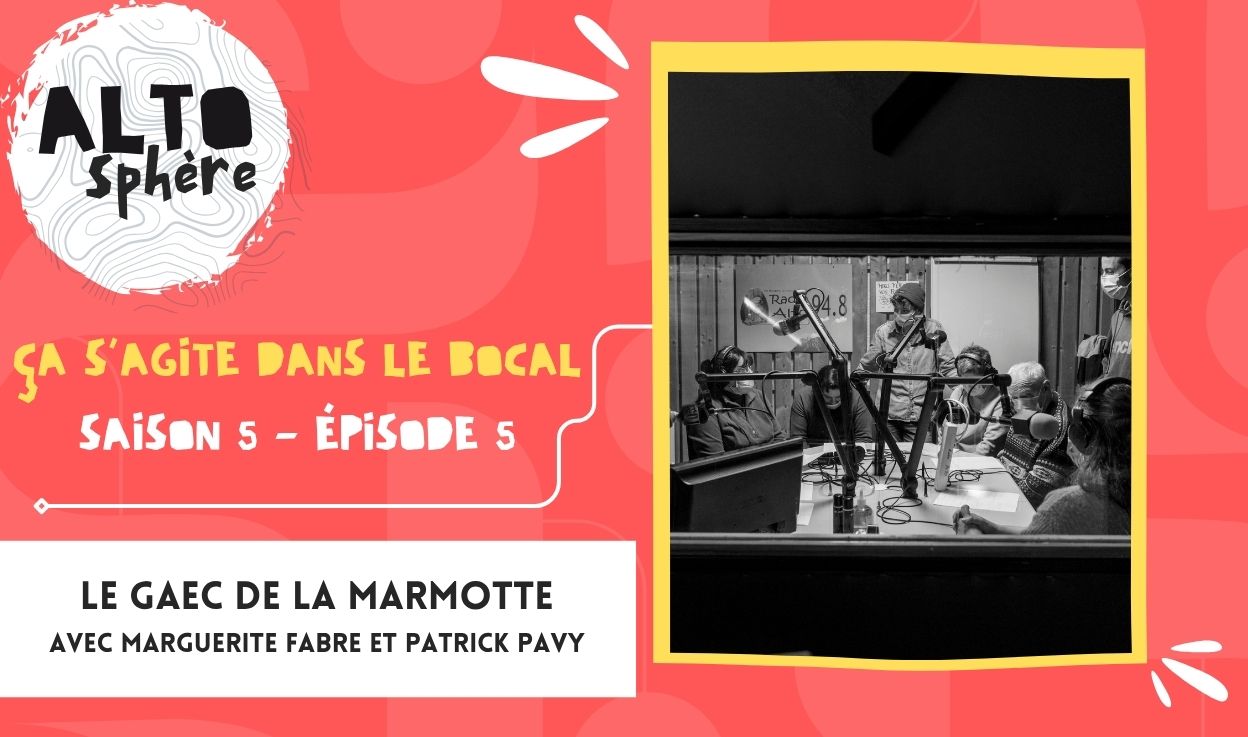 ça s&rsquo;agite dans le bocal : le SAAJ visite le GAEC de la Marmotte