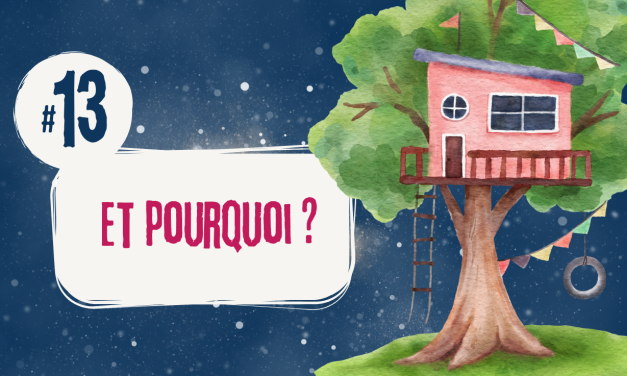 #13 Et pourquoi ?